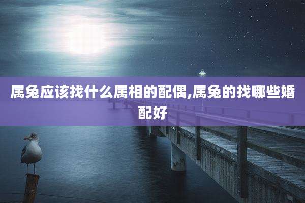 属兔应该找什么属相的配偶,属兔的找哪些婚配好