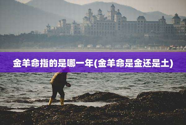 金羊命指的是哪一年(金羊命是金还是土)