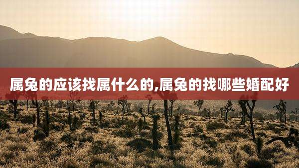属兔的应该找属什么的,属兔的找哪些婚配好