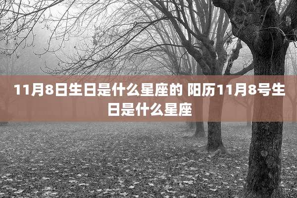 11月8日生日是什么星座的 阳历11月8号生日是什么星座