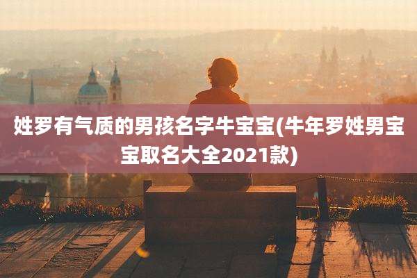 姓罗有气质的男孩名字牛宝宝(牛年罗姓男宝宝取名大全2021款)
