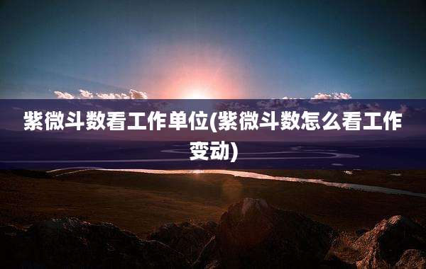 紫微斗数看工作单位(紫微斗数怎么看工作变动)