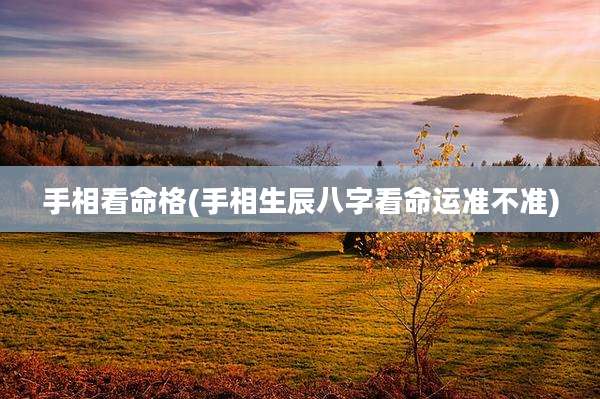 手相看命格(手相生辰八字看命运准不准)