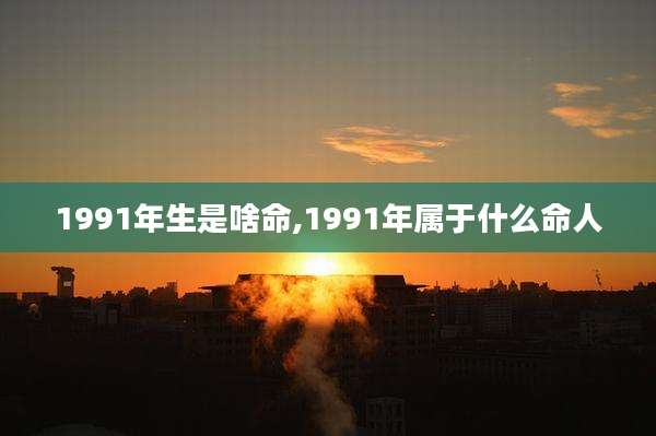 1991年生是啥命,1991年属于什么命人