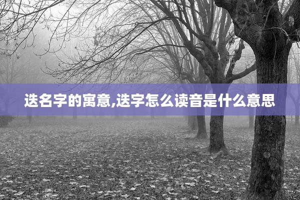 迭名字的寓意,迭字怎么读音是什么意思