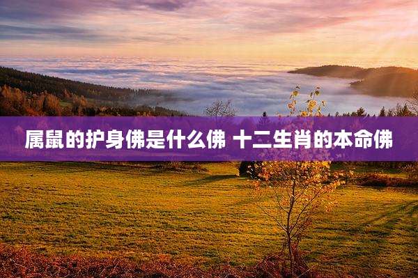 属鼠的护身佛是什么佛 十二生肖的本命佛