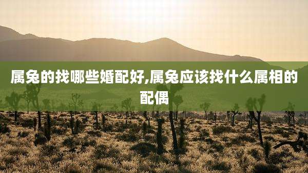 属兔的找哪些婚配好,属兔应该找什么属相的配偶