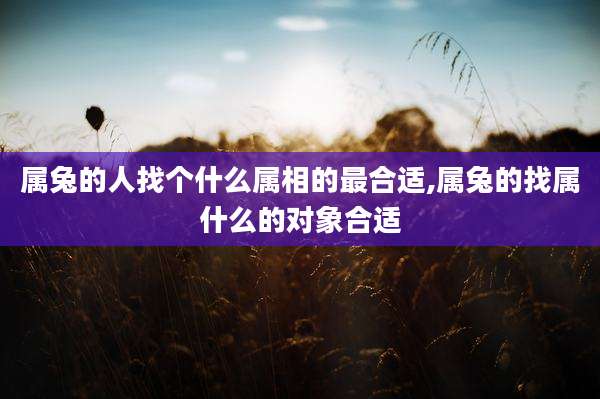 属兔的人找个什么属相的最合适,属兔的找属什么的对象合适