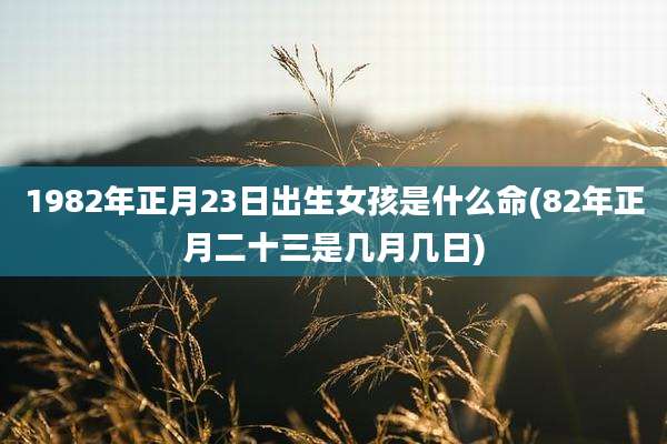 1982年正月23日出生女孩是什么命(82年正月二十三是几月几日)