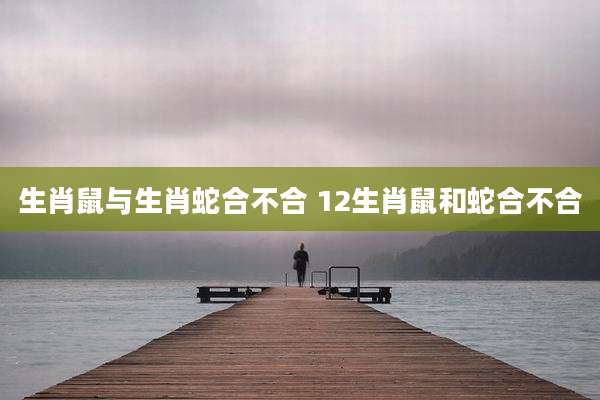 生肖鼠与生肖蛇合不合 12生肖鼠和蛇合不合