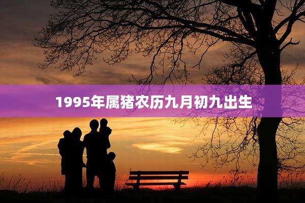 1995年属猪农历九月初九出生