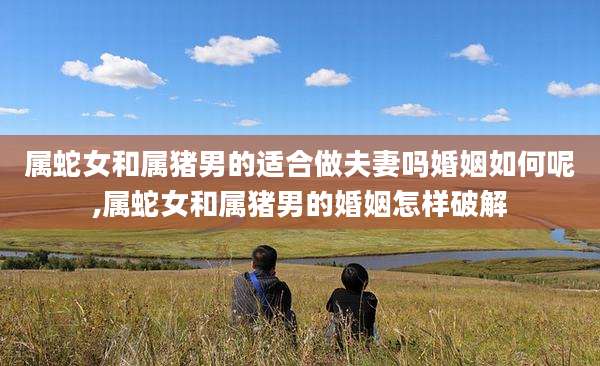 属蛇女和属猪男的适合做夫妻吗婚姻如何呢,属蛇女和属猪男的婚姻怎样破解