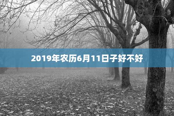 2019年农历6月11日子好不好