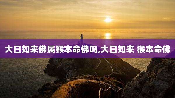 大日如来佛属猴本命佛吗,大日如来 猴本命佛