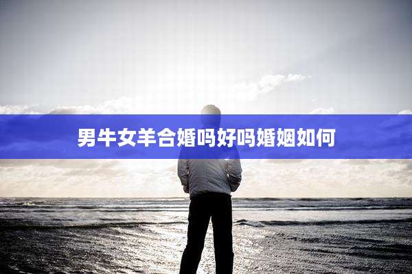男牛女羊合婚吗好吗婚姻如何