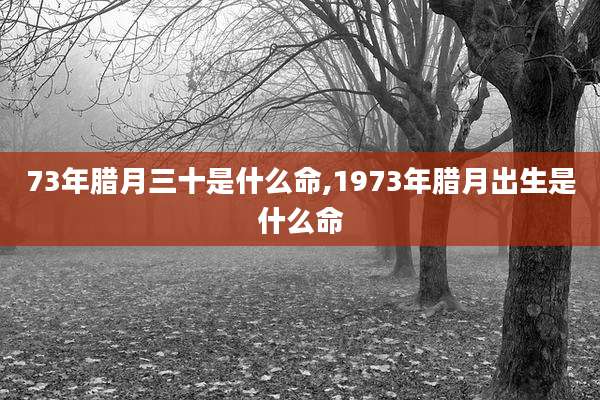 73年腊月三十是什么命,1973年腊月出生是什么命