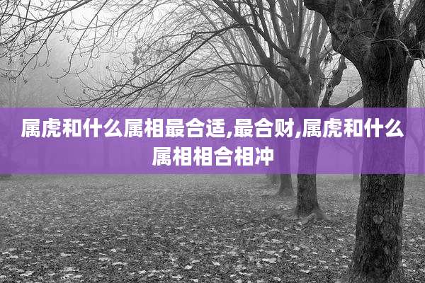 属虎和什么属相最合适,最合财,属虎和什么属相相合相冲