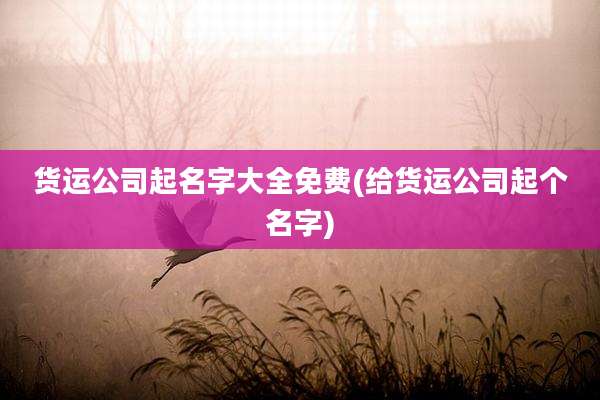 货运公司起名字大全免费(给货运公司起个名字)