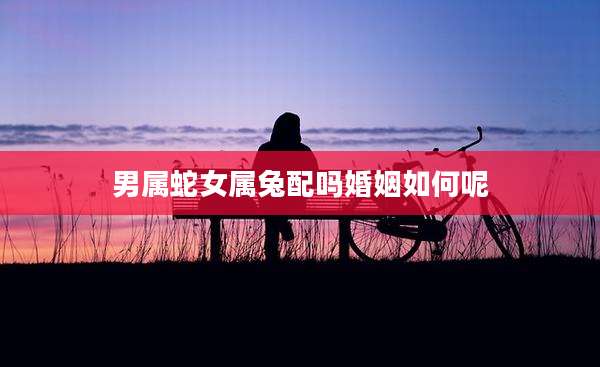 男属蛇女属兔配吗婚姻如何呢