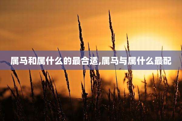 属马和属什么的最合适,属马与属什么最配