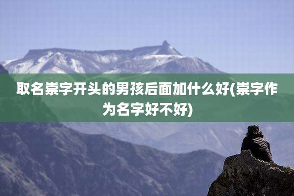 取名崇字开头的男孩后面加什么好(崇字作为名字好不好)