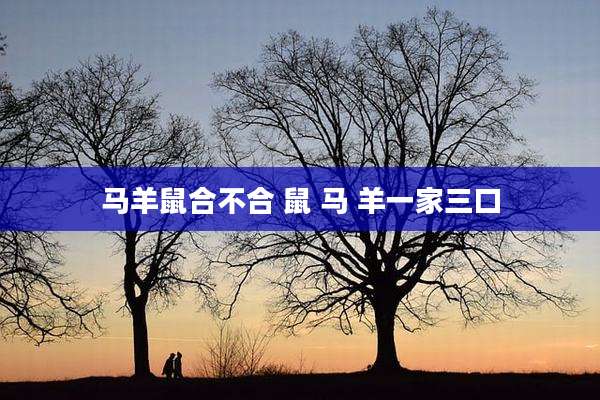 马羊鼠合不合 鼠 马 羊一家三口
