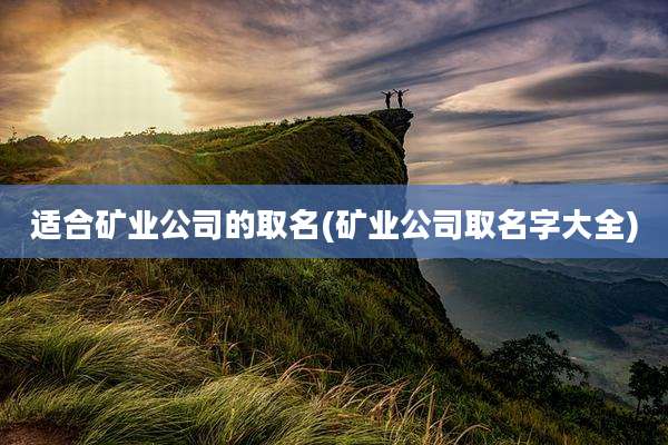 适合矿业公司的取名(矿业公司取名字大全)