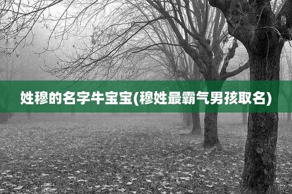 姓穆的名字牛宝宝(穆姓最霸气男孩取名)