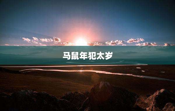 马鼠年犯太岁