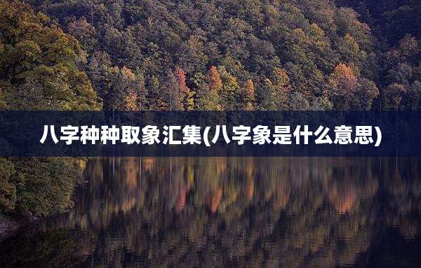 八字种种取象汇集(八字象是什么意思)