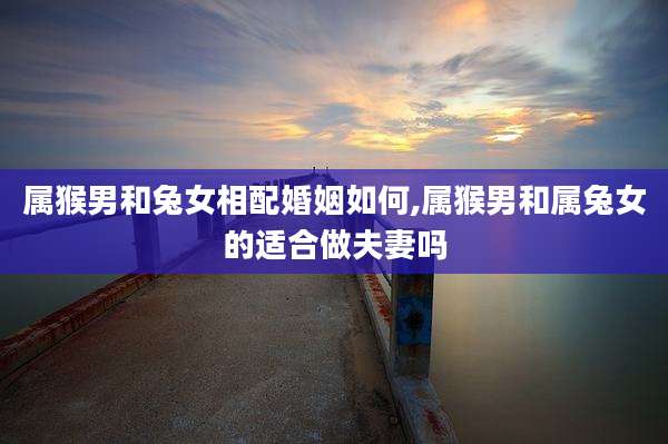 属猴男和兔女相配婚姻如何,属猴男和属兔女的适合做夫妻吗