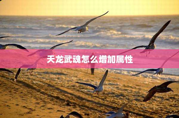 天龙武魂怎么增加属性
