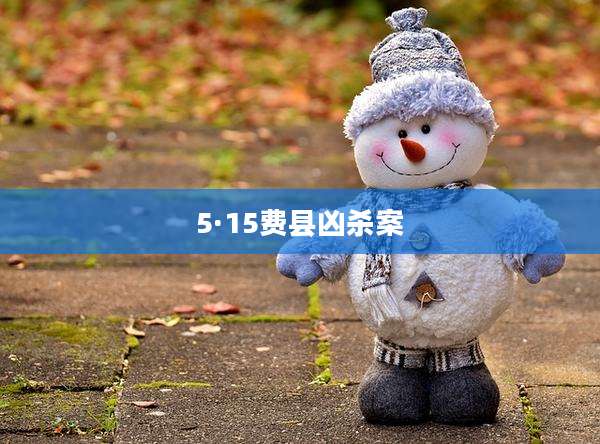 5·15费县凶杀案