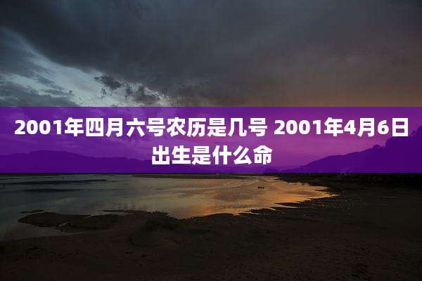 2001年四月六号农历是几号 2001年4月6日出生是什么命
