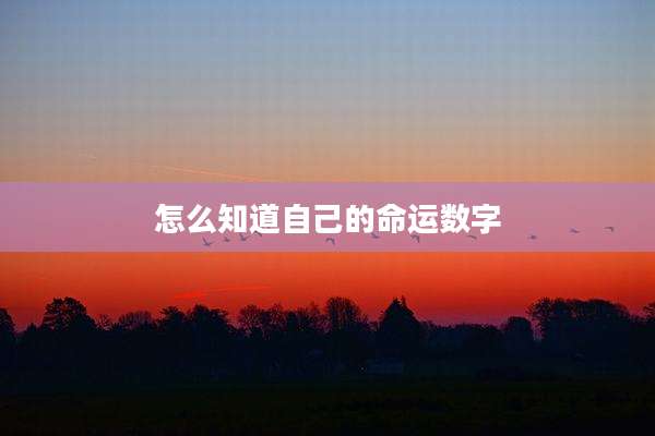 怎么知道自己的命运数字