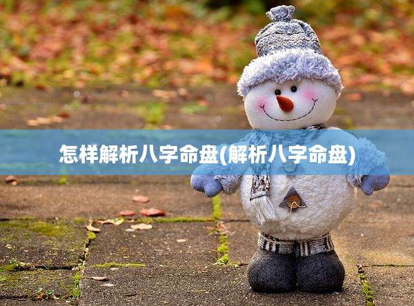 怎样解析八字命盘(解析八字命盘)
