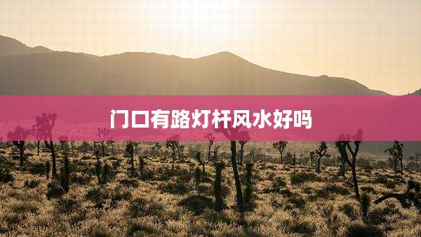 门口有路灯杆风水好吗