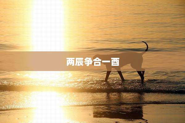 两辰争合一酉