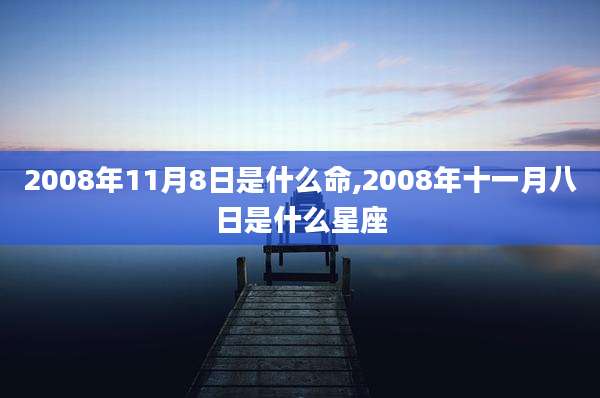 2008年11月8日是什么命,2008年十一月八日是什么星座