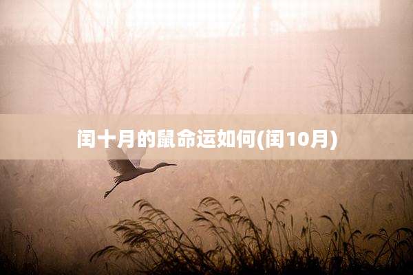 闰十月的鼠命运如何(闰10月)