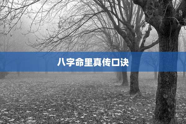 八字命里真传口诀