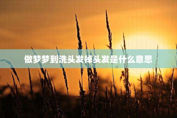 做梦梦到洗头发掉头发是什么意思