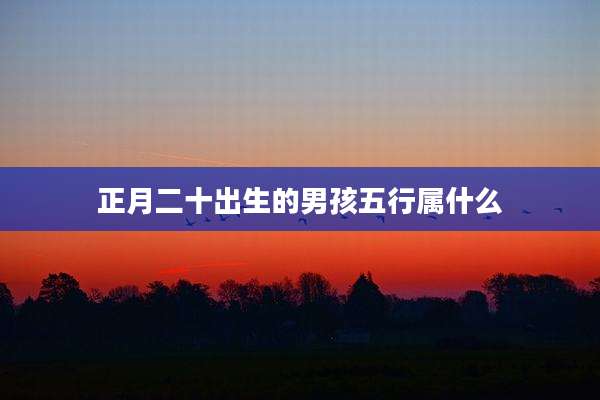 正月二十出生的男孩五行属什么