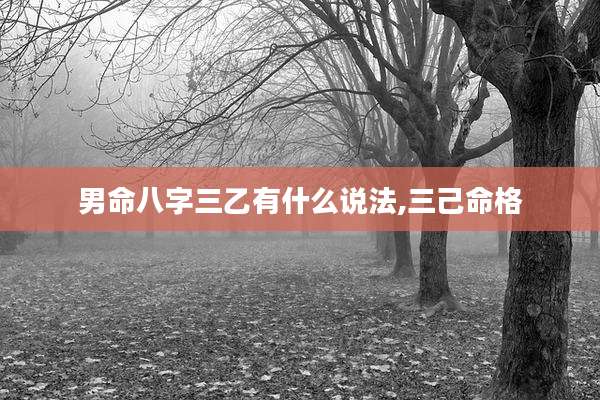 男命八字三乙有什么说法,三己命格