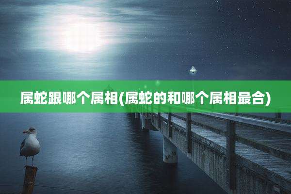 属蛇跟哪个属相(属蛇的和哪个属相最合)