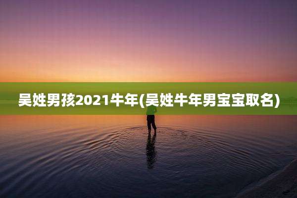 吴姓男孩2021牛年(吴姓牛年男宝宝取名)