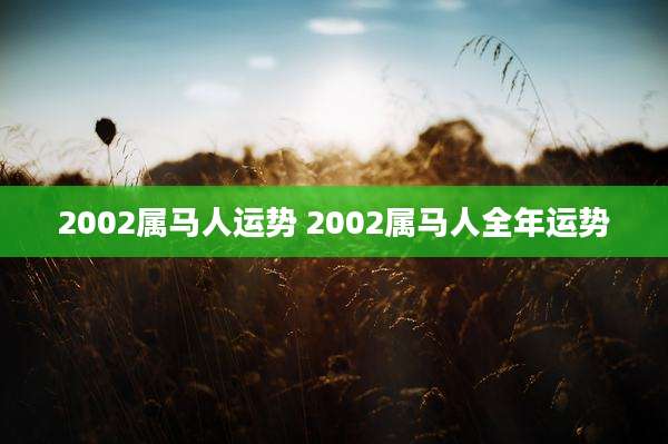 2002属马人运势 2002属马人全年运势