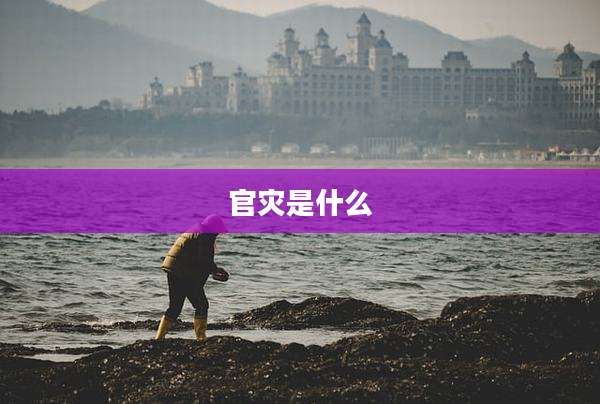 官灾是什么