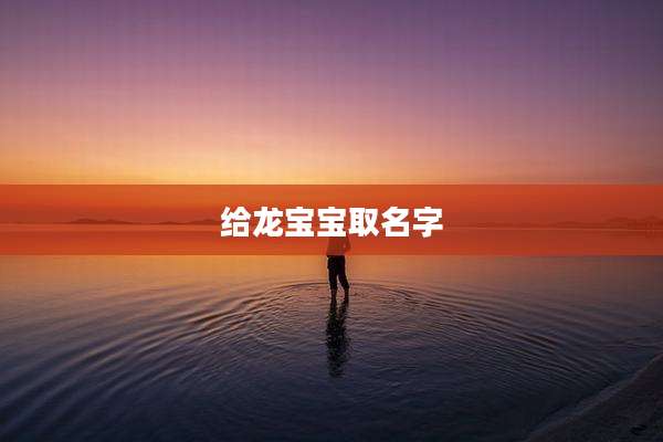 给龙宝宝取名字
