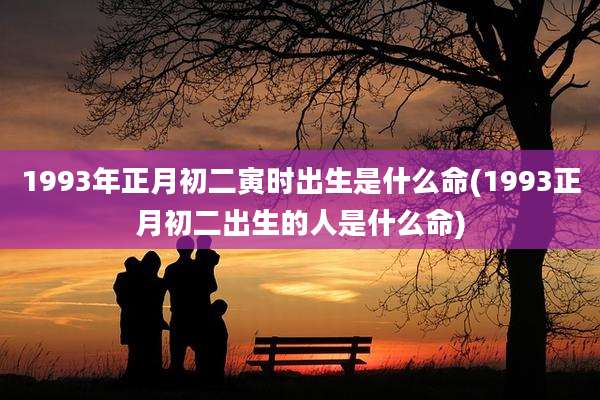 1993年正月初二寅时出生是什么命(1993正月初二出生的人是什么命)